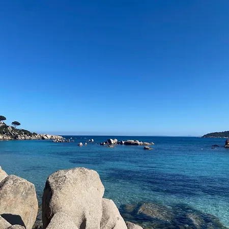 Hebergement A Sainte Lucie De Porto Vecchio * Conca